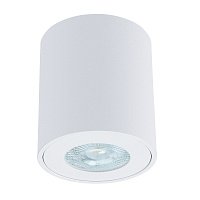 Потолочный влагозащищенный светильник Arte Lamp TINO A1469PL-1WH