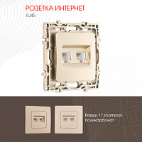 Розетка RJ45 х 2 217.45-2.shampan Arte Milano