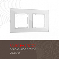 Рамка из закаленного стекла на 2 поста 503.02-2.silver Arte Milano