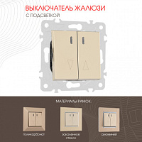 Выключатель жалюзи с подсветкой, 10A 250V 203.39-2.shampan Arte Milano