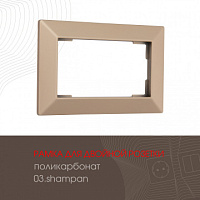 Рамка из поликарбоната для двойной розетки 503.03-double.shampan Arte Milano