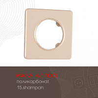 Рамка из поликарбоната на 1 пост 502.15-1.shampan Arte Milano