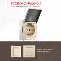 Розетка с заземлением, шторками и защитной крышкой, 16A 250V 206.41-1.shampan Arte Milano