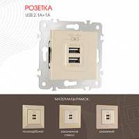 Розетка USB 2.1А+1А 203.46-1.shampan Arte Milano