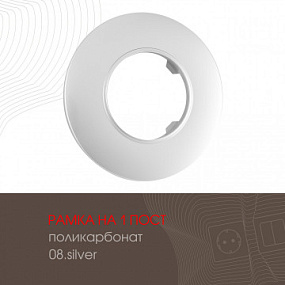 Рамка из поликарбоната на 1 пост 502.08-1.silver Arte Milano