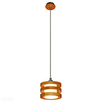Подвесной светильник Arte Lamp RING A1320SP-1CC