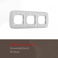 Рамка из поликарбоната на 3 поста 505.05-3.silver Arte Milano