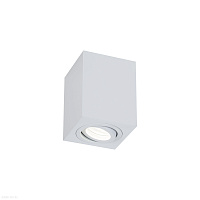 Накладной светильник Maytoni Alfa C017CL-01W