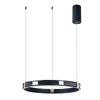 Подвесной светодиодный светильник Arte Lamp SHINE A2222SP-1BK