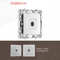 Розетка TV 217.43-1.silver Arte Milano