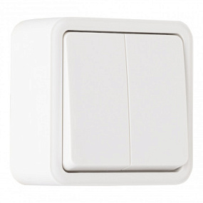 Выключатель двухклавишный, 10AX 250V 310.30-2.white Arte Milano