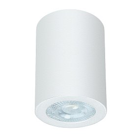 Потолочный влагозащищенный светильник Arte Lamp TINO A1468PL-1WH