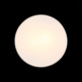Настенно-потолочный светильник ST Luce Bagno SL468.502.02