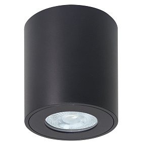 Потолочный влагозащищенный светильник Arte Lamp TINO A1469PL-1BK