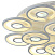 Потолочная светодиодная люстра F-PROMO Roundels 2292-12U