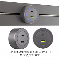Трековая розетка, 3.1A 250V 399731TS/USB-Type-C Grey Arte Milano