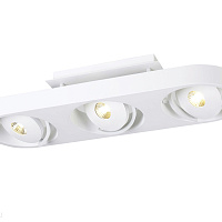 Накладной светодиодный светильник Donolux DL18697/13WW-White