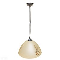 Подвесной светильник Arte Lamp CUCINA A4728SP-1CC