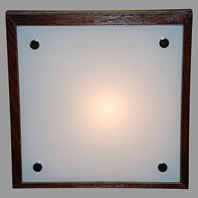 Настенно-потолочный светильник CITILUX CL938311