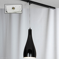 Трековый подвесной светильник Lussole Loft RIMINI LSF-1196-01-TAW