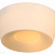 Потолочный светильник ST Luce Adatto SL296.502.02