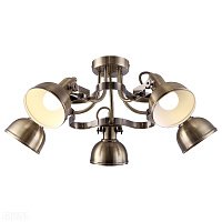 Люстра потолочная Arte Lamp MARTIN A5216PL-5AB