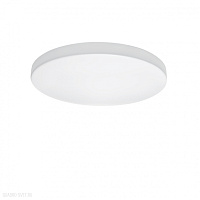 Настенно-потолочный светильник Lightstar Arco 225202