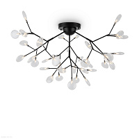 Потолочная люстра Freya Florencia FR5049CL-36B