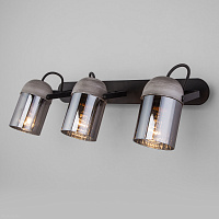 Настенный светильник с поворотными плафонами Eurosvet Mars 20122/3 черный/тертый серый