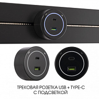 Трековая розетка, 3.1A 250V 399732TS/USB-Type-C Black Arte Milano