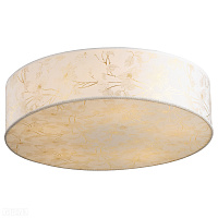 Потолочный светильник Arte Lamp NUVOLA A9522PL-3WG