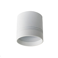Накладной светодиодный светильник Donolux Barell DL18482/WW-White R