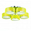 Люстра потолочная ST Luce Foresta SL483.092.05