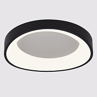 Светодиодный потолочный светильник Arte Lamp SUALOCIN A2698PL-48BK