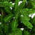 Ель CRYSTAL TREES ОЛИВИЯ 60 см. KP2360