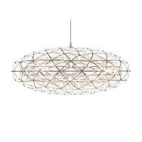 Подвесная люстра L'Arte Luce Raimond L46210.98