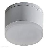 Уличный потолочный LED светильник Azzardo Apulia R AZ4334