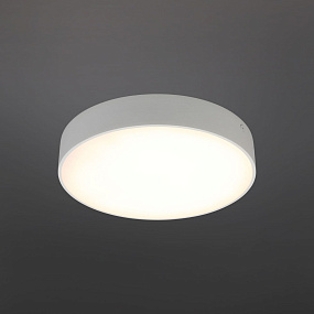 Потолочный светодиодный светильник Aployt Evon APL.0113.09.24