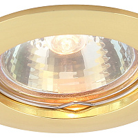Встраиваемый точечный светильник Arte Lamp BASIC A2103PL-1GO