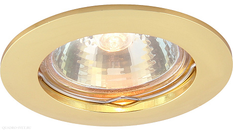 Встраиваемый точечный светильник Arte Lamp BASIC A2103PL-1GO
