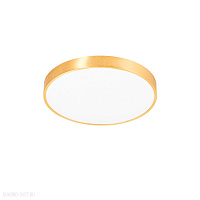 Светодиодный потолочный светильник Zumaline SIERRA CL12100008-GD