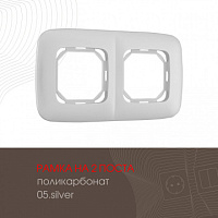 Рамка из поликарбоната на 2 поста 505.05-2.silver Arte Milano