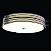 Потолочный светильник ST Luce Hegia SL484.542.06