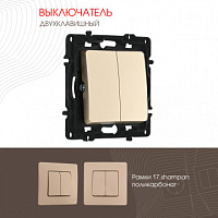 Выключатель двухклавишный, 10AX 250V 217.30-2.shampan Arte Milano