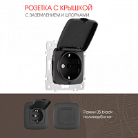 Розетка с заземлением, шторками и защитной крышкой, 16A 250V 205.41-1.black Arte Milano
