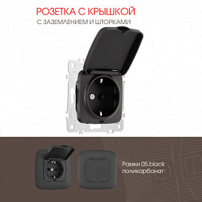 Розетка с заземлением, шторками и защитной крышкой, 16A 250V 205.41-1.black Arte Milano