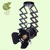 Потолочный светильник Lussole Loft THORNTON GRLSP-9702