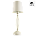 Настольная лампа Arte Lamp ORLEAN A9310LT-1WG