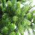 CRYSTAL TREES Искусственная Сосна Швейцарская 250 см