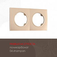 Рамка из поликарбоната на 2 поста 502.04-2.shampan Arte Milano